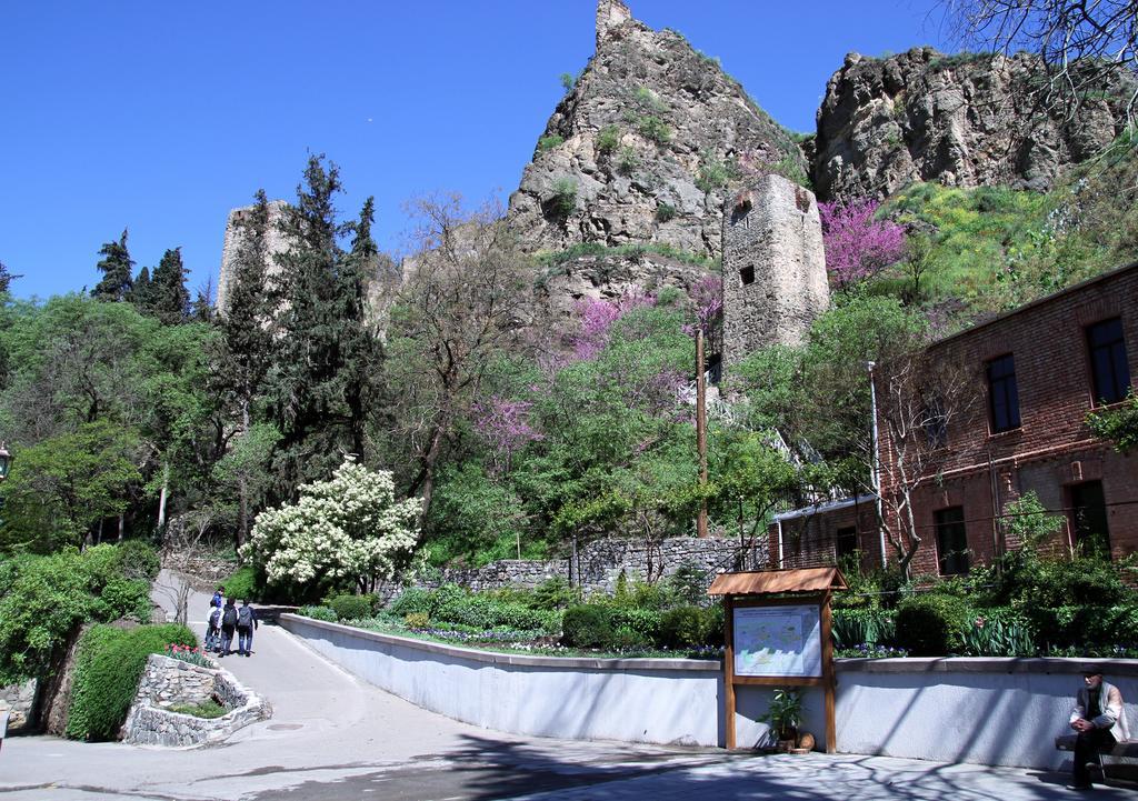 Apartment On Botanikuri Тбилиси Стая снимка